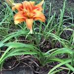 Marla Cavanaugh - @marlac652 - Instagram