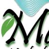 marlangejeromeDutton - @marlange_hair_growth - TikTok