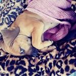Marla - @marlaeldert - Instagram