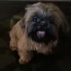 Mj - @marlaescobar13 - TikTok