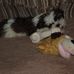 Marla Younker Grove - Facebook