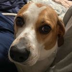 Marla hall - @oh_my_marla - Instagram