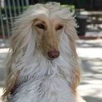 Marla Hart - @huckandviolet - Instagram