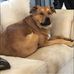 Makala Higginbotham - Facebook