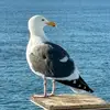 MME097 - @marla.hunter5041 - TikTok