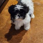 Marla Ingram - @marla.ingram.10 - Instagram