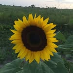 Marla Johnson - @marla.johnson.921 - Instagram