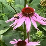 Marla Rosner Johnson - @marlajohn - Instagram