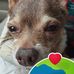 Marla Johnson - Facebook