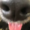marlah.johnson - @marlah.johnson - TikTok