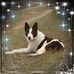 Marla Landin - Facebook