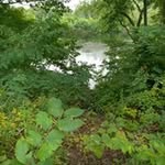 Marla Leblanc - @marla.leblanc.399 - Instagram