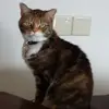 MARLA Leblanc - @user3999320405534 - TikTok
