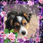 Marla LeBlanc Cornell - @marlacornell - Instagram