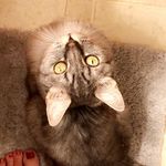 Marla - @marla_moo_mack - Instagram