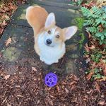Marla Malone - @littlecreator - Instagram