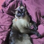 Marla,Marcel,Marshall - @marla_marcel_marshall_ - Instagram