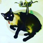marshall Marcel and Marla - @marlamarcelmarshall - Instagram