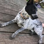 Marla May - @marlamay.thepup - Instagram