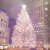 Mara McAllister - @mara..mcallister2 - TikTok
