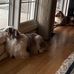 Marla J McCormick - Facebook