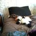Marla Mccormick - Facebook