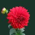 Martha Mgar - Facebook