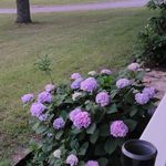 Marla McGee - @marlaanne00778 - Instagram