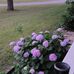 Marla McGee - Facebook