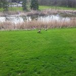 marla r mcgee - @marlamcgee081 - Instagram