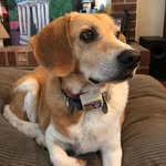 Marla McNeill - @marlamcneill3 - Instagram