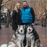 Meldrums and their Malamutes - @meldrums_and_their_malamutes - Instagram
