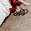 Marla Melton - @marla.melton07 - TikTok