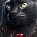 Muhammad Maila - Facebook