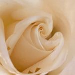 Marla Beth Murray - @champagne_lace_boudoir - Instagram