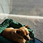 Marla Murray-Johnson - @hankandon_31_stan - Instagram