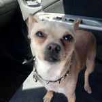 Marla O'Neal - @marla.oneal.98 - Instagram