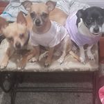 Marla ONeal - @onlymarcar - Instagram