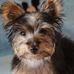 Marla Oneal - Facebook