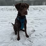 Marla - @marla_pacettini - Instagram