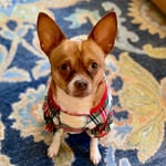 Marla Pace Oksman - @mpoblueberry - Instagram