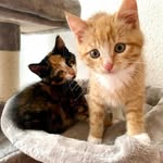 Marla & Patrick - @marla_und_patrick - Instagram