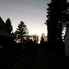marlapetersen - @marlapetersen - TikTok