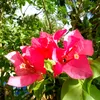 Marla pretty - @marla.pretty - TikTok