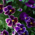 Marla L. Purdy - @marlapurdy777 - Instagram