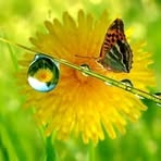 Marla Singleton - Facebook