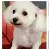 Marla Small - @marla.small7 - TikTok