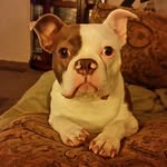 Marla Smart Meeks - @marlam7473 - Instagram