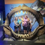Marla Stephenson - @marlag65 - Instagram
