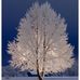 Marla Stephenson - Facebook